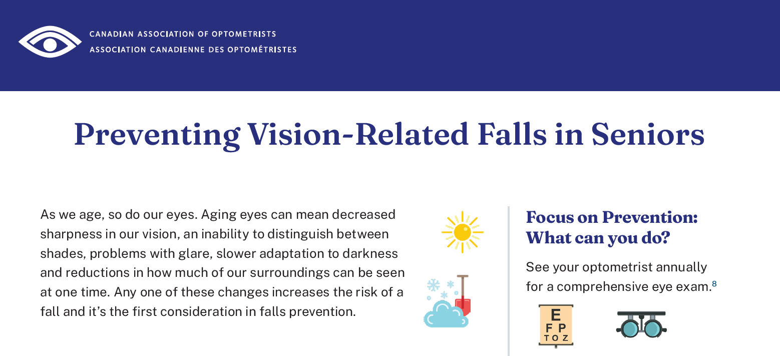 Preventing Vision-Related Falls in Seniors infographic
