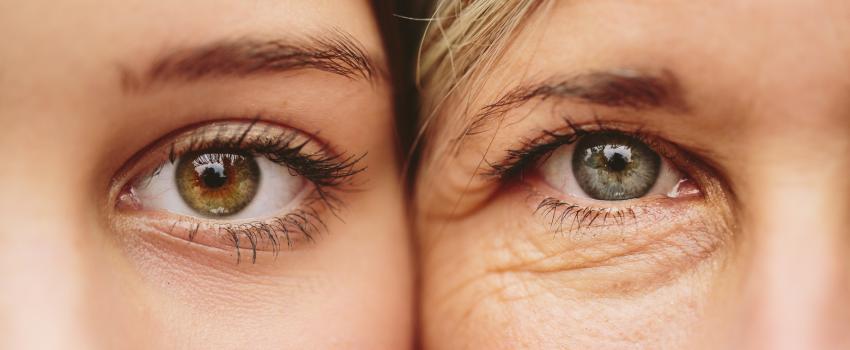 The Aging Eye The Canadian Association Of Optometrists