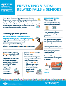  Preventing Vision-Related Falls in Seniors infographic