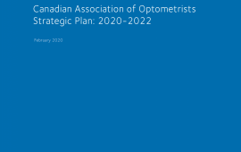 CAO Strategic Plan 2020-2022