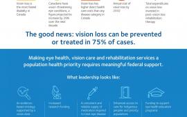Eye Health in Canada: An Invisible Crisis (infographic)