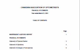 CAO Financial Statements 2020-21