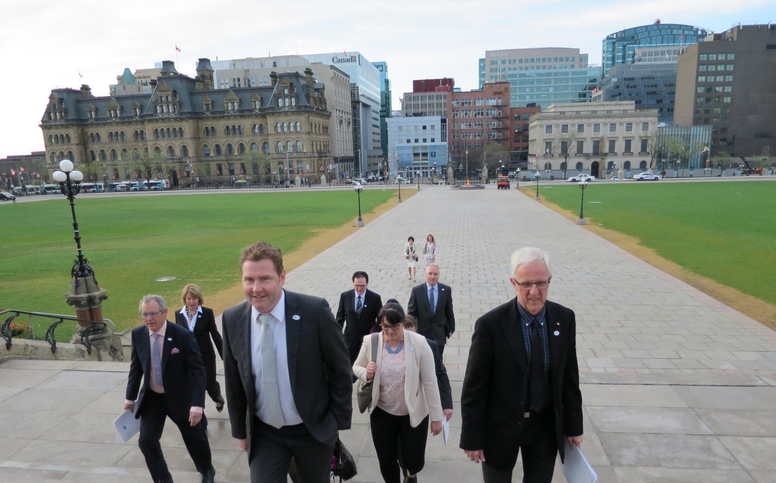 CAO Council walking uo the steps of parliament